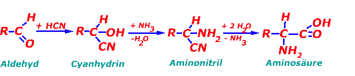 Synthese von Aminosäure