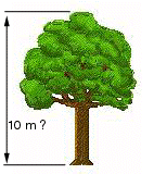 Unser schöner Baum