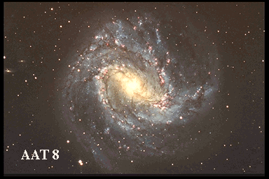 Spiralgalaxie M 83