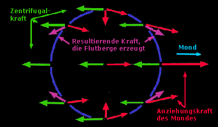 Auch die Fliehkraft spielt eine Rolle