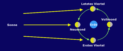 Die Mondphasen