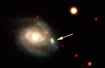 Supernovae in NGC 664